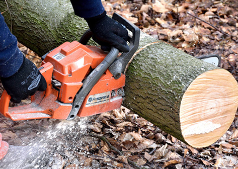 Automatic oiling device for chain saw accessories